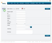 SiDiary Online enter single data mask